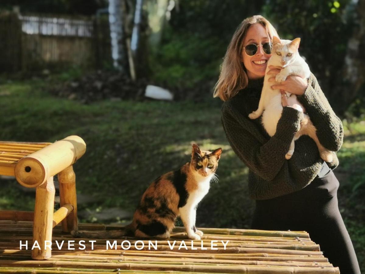 Harvest Moon Valley Vila Ban Pang Luang Exterior foto